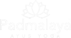 Padmalaya Ayus Yoga Logo